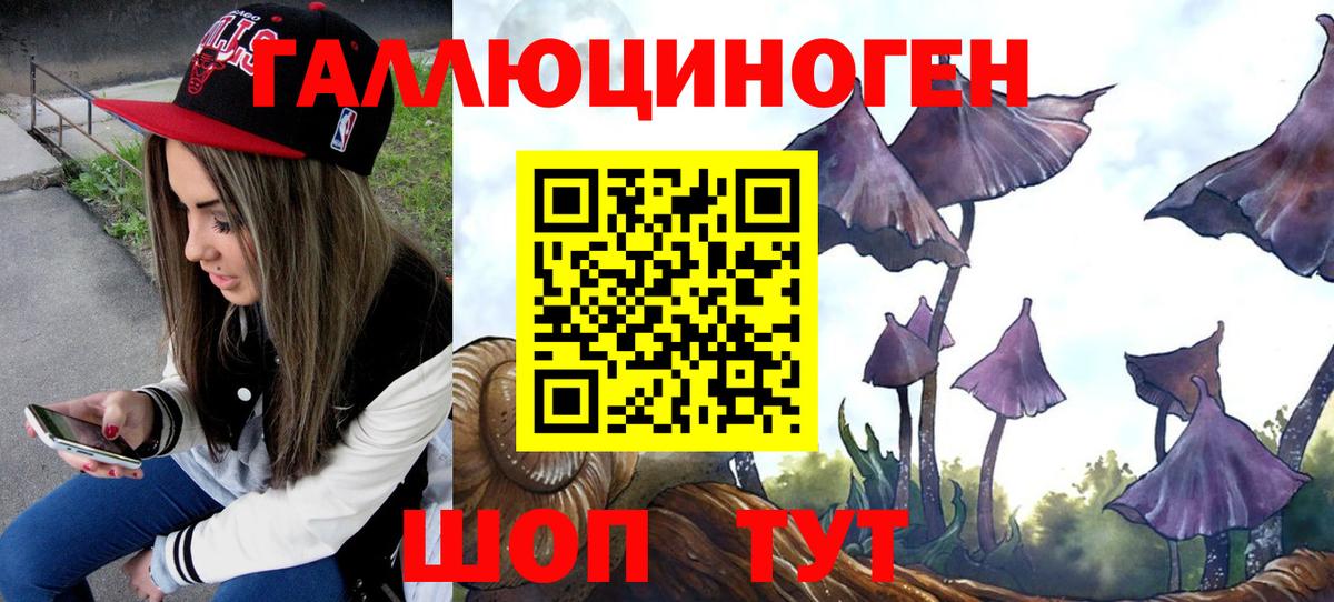 Галлюциногенные грибы Cubensis Усинск