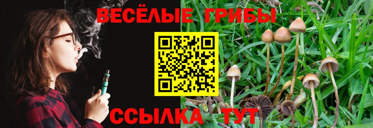 Галлюциногенные грибы прущие грибы  Вход с VPN  Псилоцибиновые грибы мухоморы  сколько стоит  Усинск 
